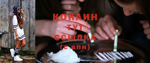 стафф Новодвинск