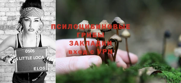 ГАЛЛЮЦИНОГЕННЫЕ ГРИБЫ Нязепетровск