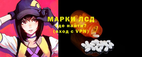 стафф Новодвинск