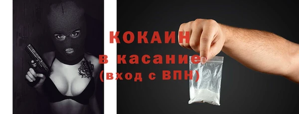 a pvp Новозыбков