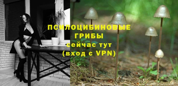 a pvp Новозыбков