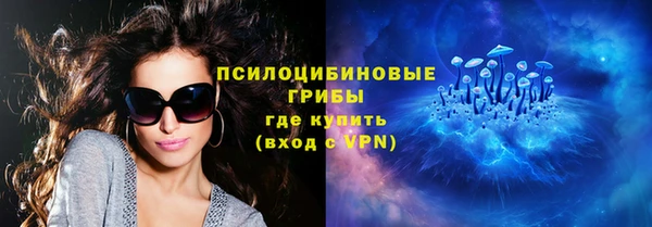 a pvp Новозыбков